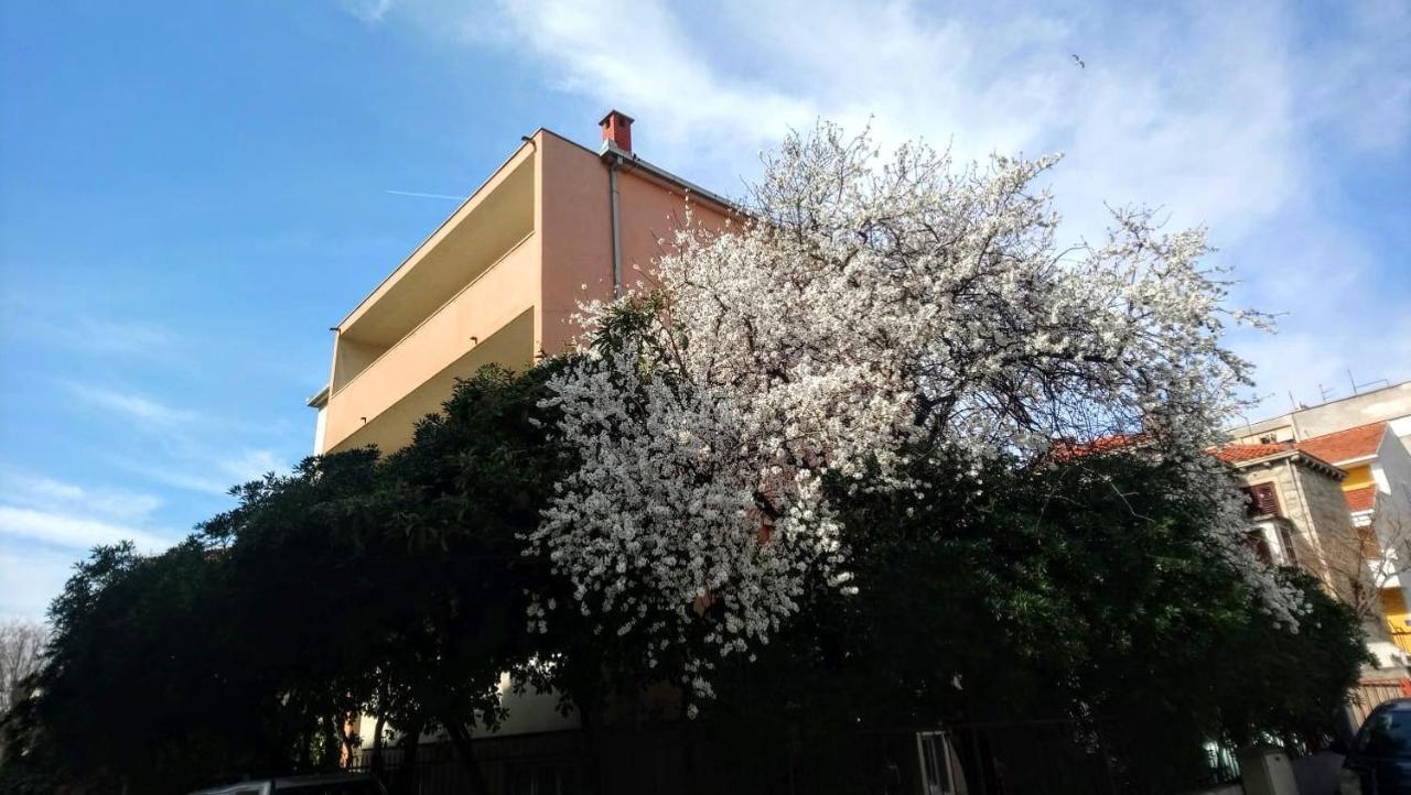 Split Symphony Veranda: Modern, New Apartment Buitenkant foto